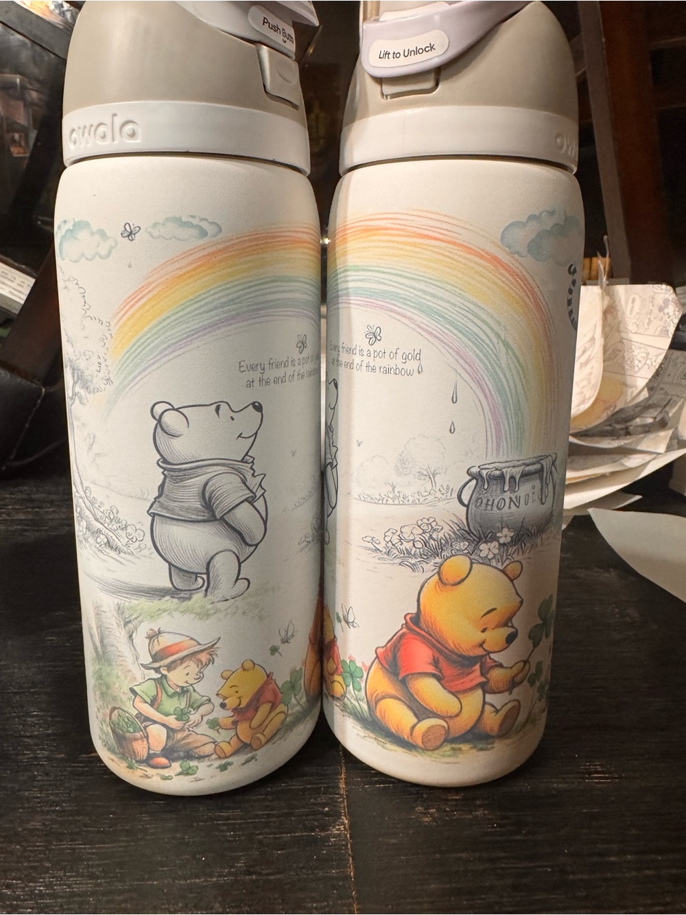Winnie the Pooh Rainbow Stainless Steel Water Bottle Pair